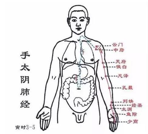 培补元气,修复正气,艾灸大椎,中脘,神阙,关元,足三里,命门,涌泉穴