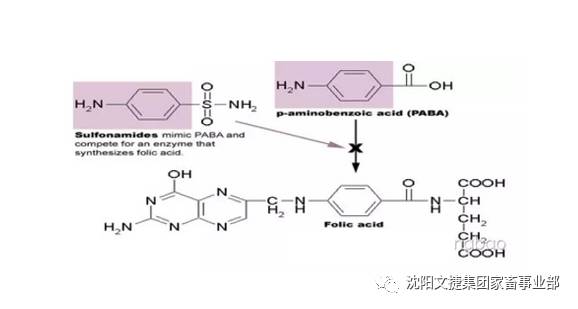 3>内服易吸收用于全身感染的磺胺药三大类 除磺胺脒(sg)用于肠道感染