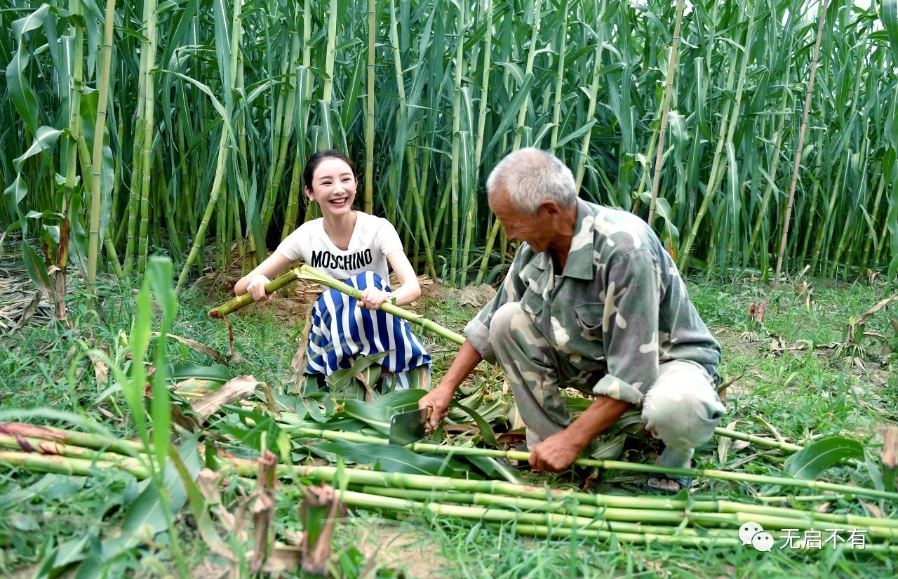 拍摄过程中,编导低声要求"一纯,让老伯示范一下怎么吃芦稷.