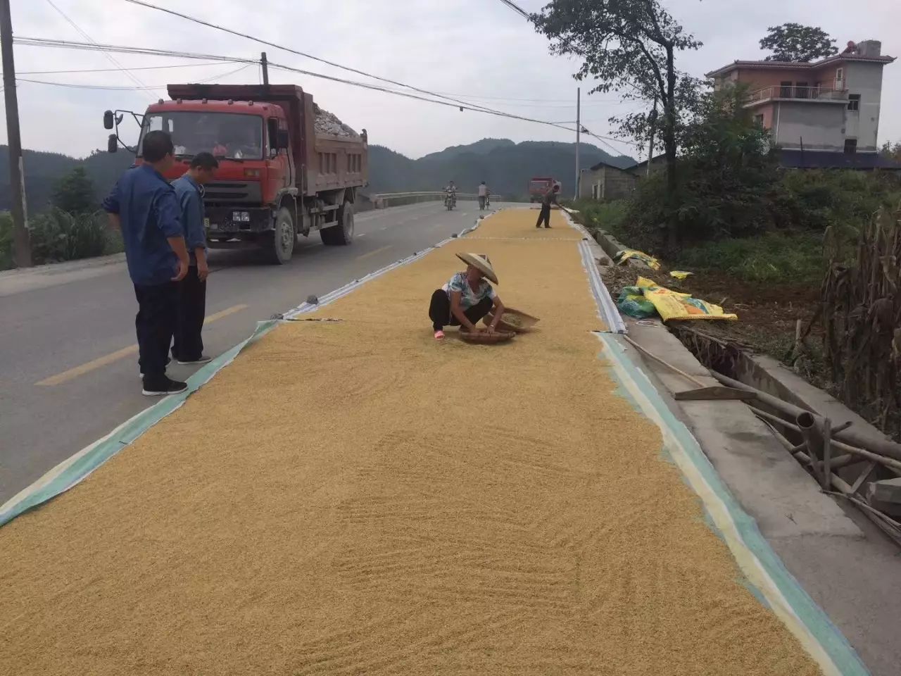 稻谷路政执法人员正在对私自在公路上晒谷子的村民教育并下达违法行为