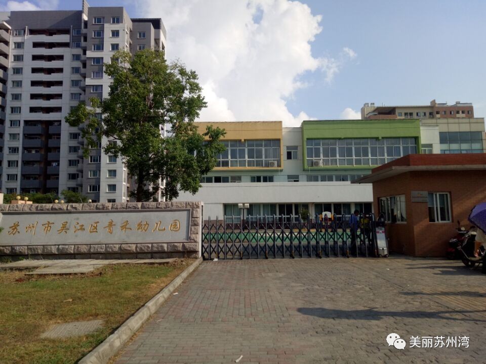 会前,太湖新城党工委书记高建民一行走访了青禾幼儿园,菀坪学校和横扇