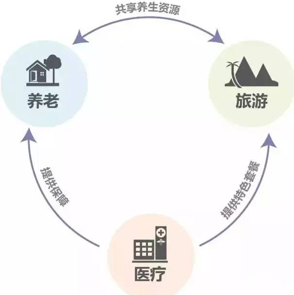 干货医疗养老融合小镇如何打造标杆项目来支招