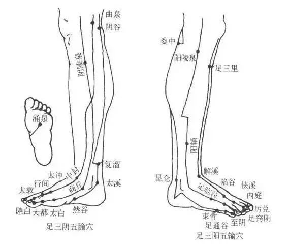 气血畅通身体健康学一学经络拍打操