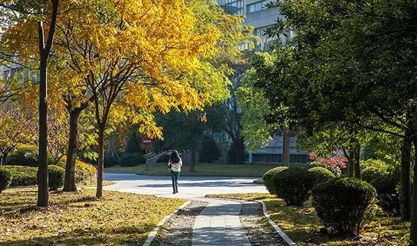 浙江财经大学,最有"财"的大学!