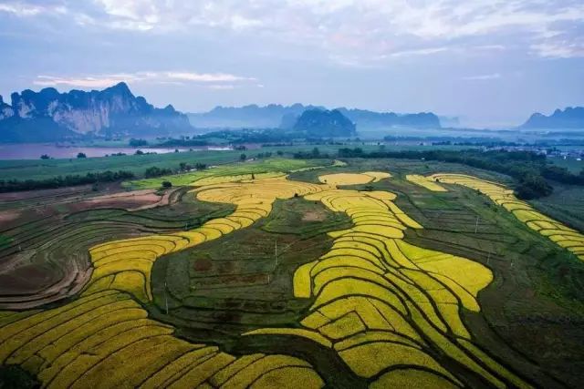 旅游 正文  2014年5月15日,"中国长寿之乡·广西天等"授牌仪式在天等