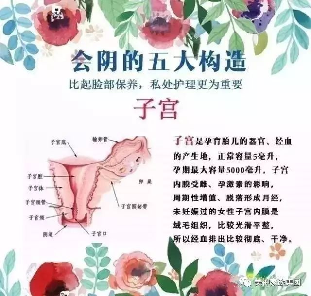 女性生殖系统的五大结构!