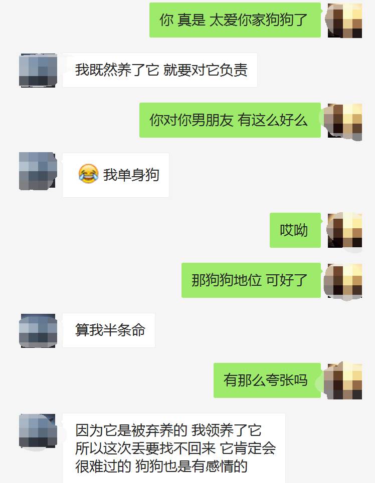 武冈这家女主人爱狗如命,狗狗走丢太伤心,今儿特意发