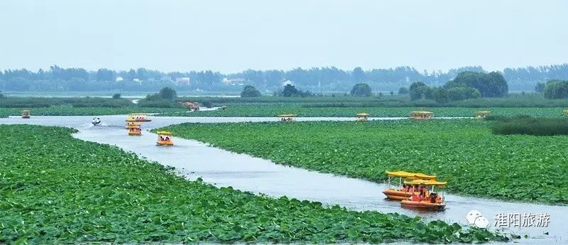 "大美淮阳·水城荷乡"摄影大赛评选揭晓,看看大奖花落谁家?