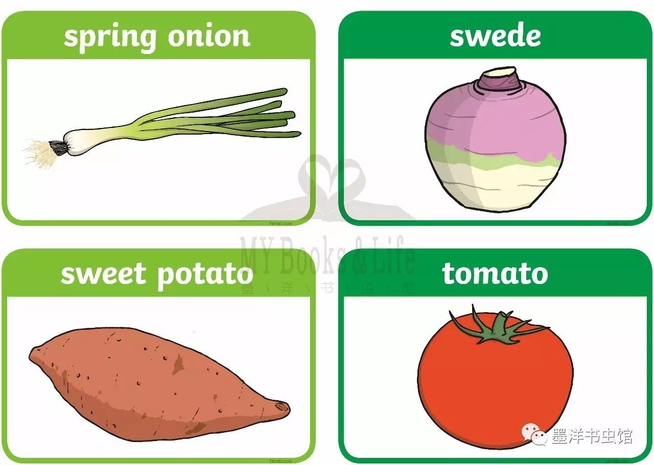 墨洋亲子英语丨认知篇-各种各样的蔬菜