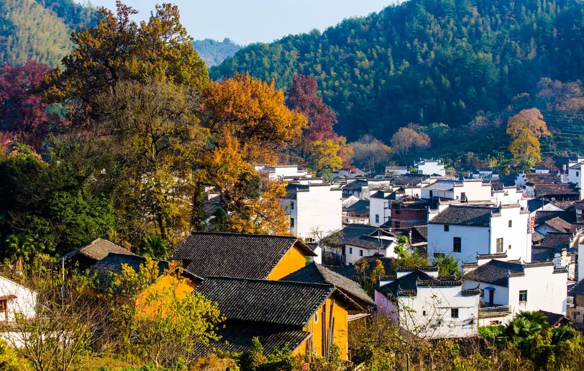 石城有多少人口_石城岛 国内著名海岛旅行 大连小长山岛与海洋岛游览风光(3)