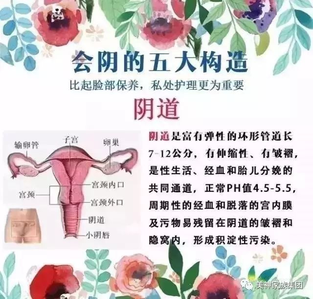 母婴 正文  阴道为肌性管道,长约6-8厘米,阴道前壁紧贴膀胱和尿道,后