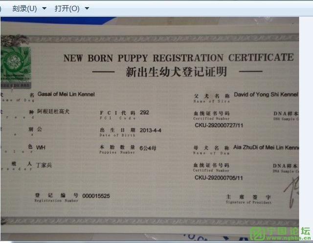 犬的血统证书讲解