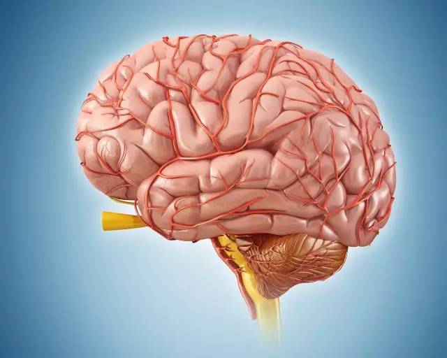 通常是局部的脑组织血氧减少,或暂时中断.