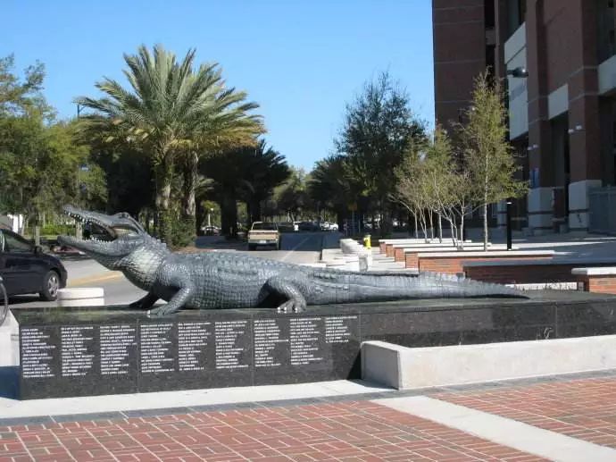 佛罗里达大学——短吻鳄 (florida gators)