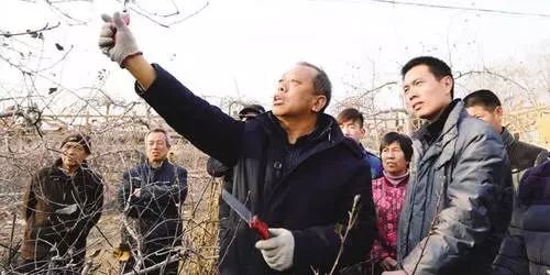 (来源:太行人家▲农学系李伯航教授是玉米专家,太行之路铸就太行之魂