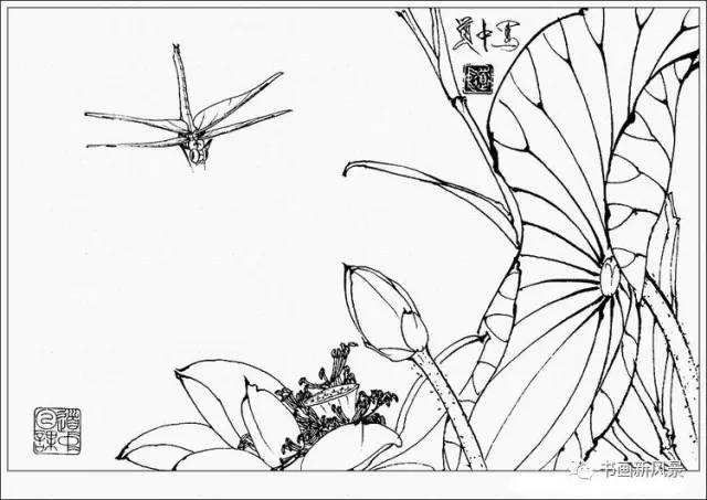 工笔花卉草虫白描精品30幅