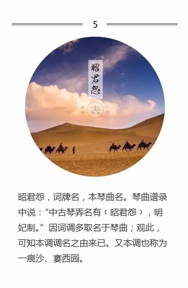 脍炙人口的词牌名_人口普查