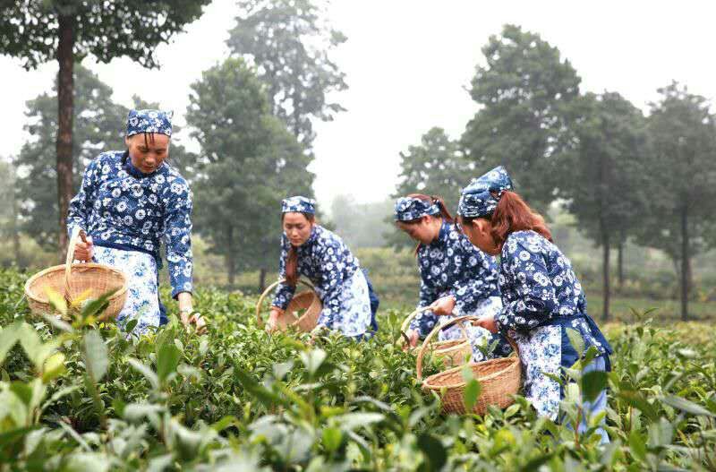 夏县泗交人口_夏县泗交太宽河