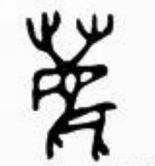 齐亚玲《梦中的象征》11:狼,鹿,骆驼的象征意义