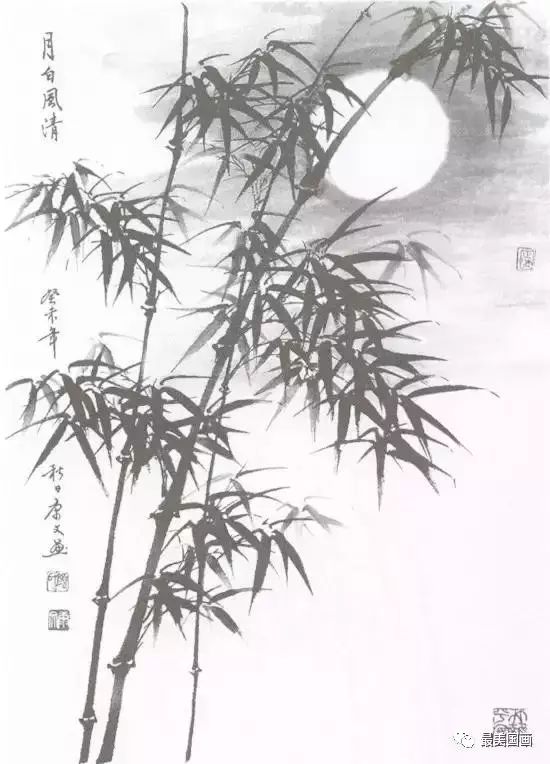 国画教学竹子水墨写意画写意竹子画法画法步骤图