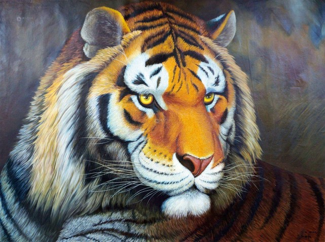 一个老虎一个人是什么成语_一个动物一个人的情头(3)