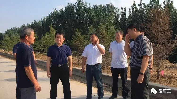 李金国区长到我镇督导安全生产工作和清河行动