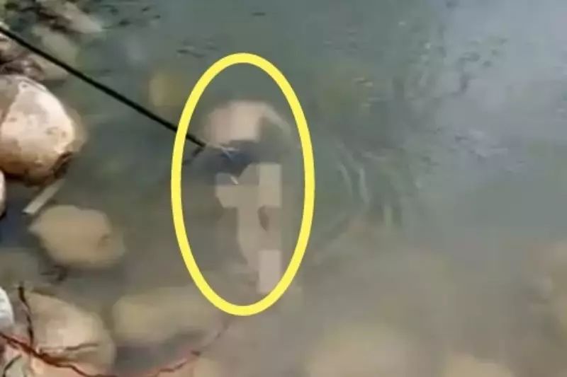 网友爆料,2017年9月9日下午,在海丰赤石镇大安附近水域发生一起溺水