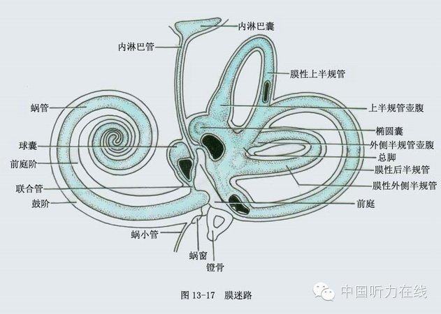 前庭导水管扩大可怕吗?