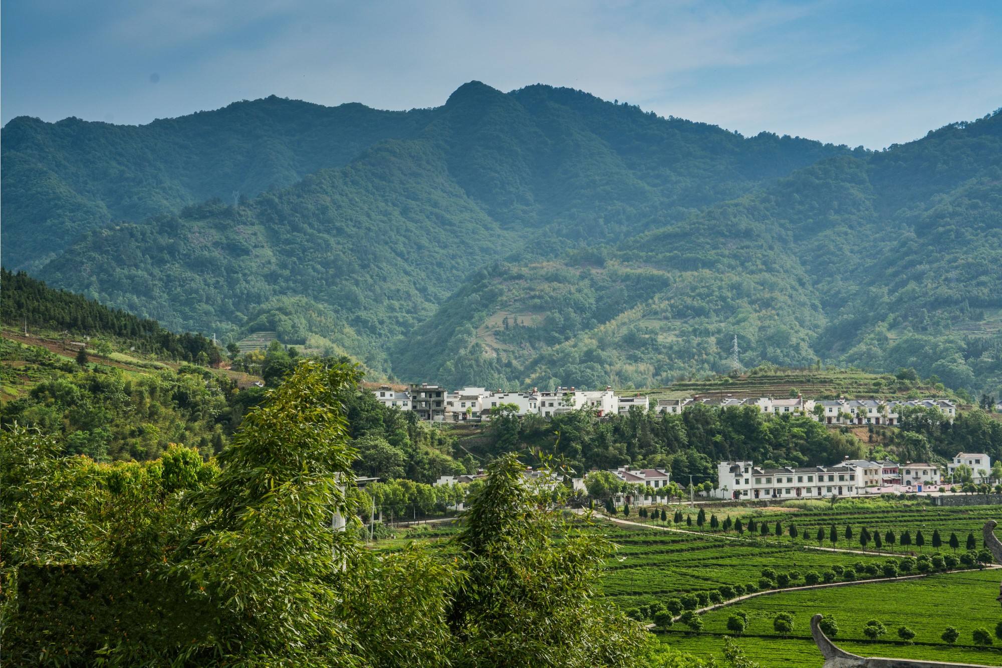 陕南这个村山清水秀,有茶园古道,游客人数却始终超不过袁家村