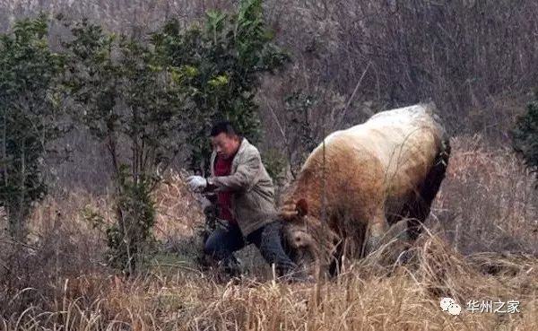 渭南农村十大"恶霸"出炉,排名第一的至今无人敢惹!