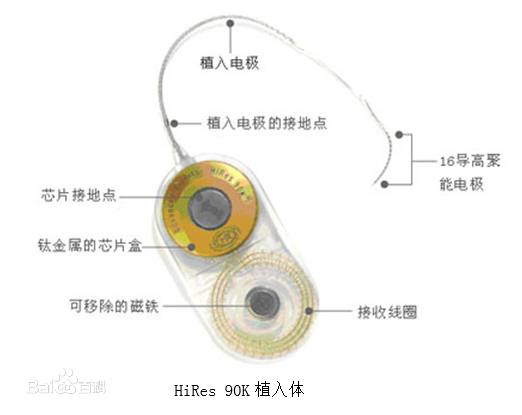 耳粉什么原理_耳石是什么样子图片