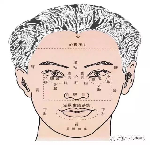 3.肺初病者,特别是初受风邪,在面部再现为两眉上发白.