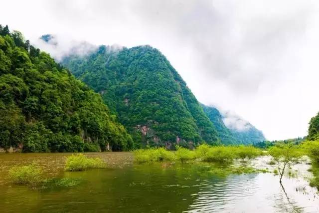 习水有多少人口_贵州习水一高速隧道因山体滑坡垮塌(2)