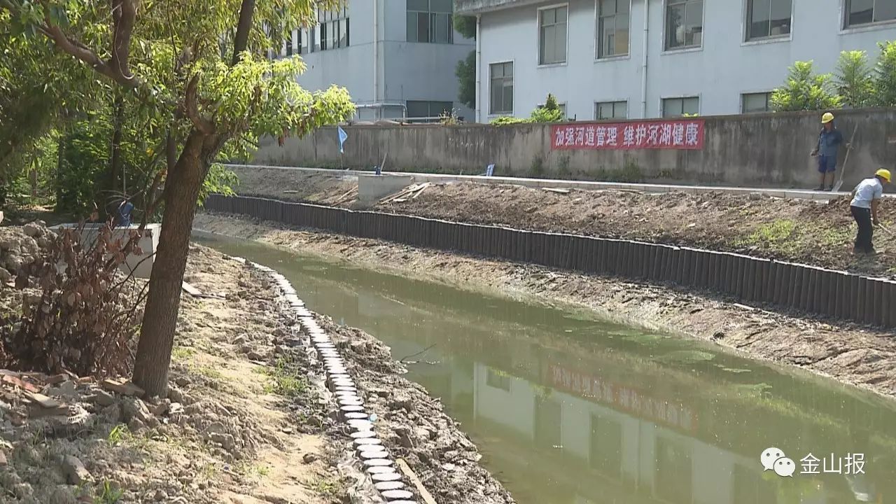 这些变化让临河而居近40年的洪阿婆看在眼里,乐在心里.