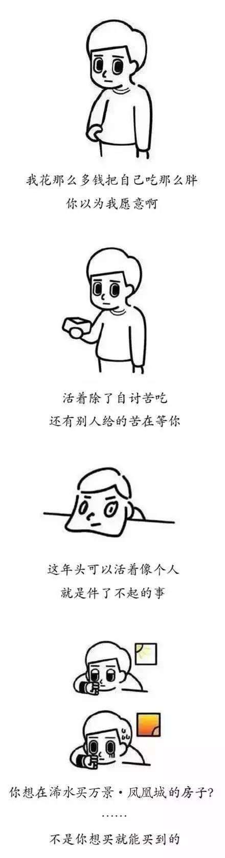 困了累了来一碗毒鸡汤