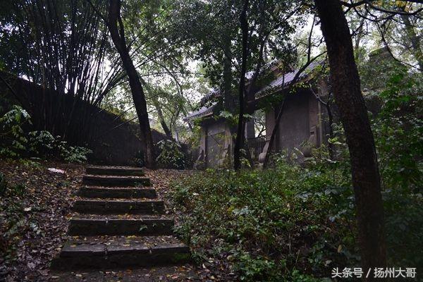 冒着雨、麻着胆儿走进重庆红卫兵墓园，探寻那一段深埋已久的历史往事.....