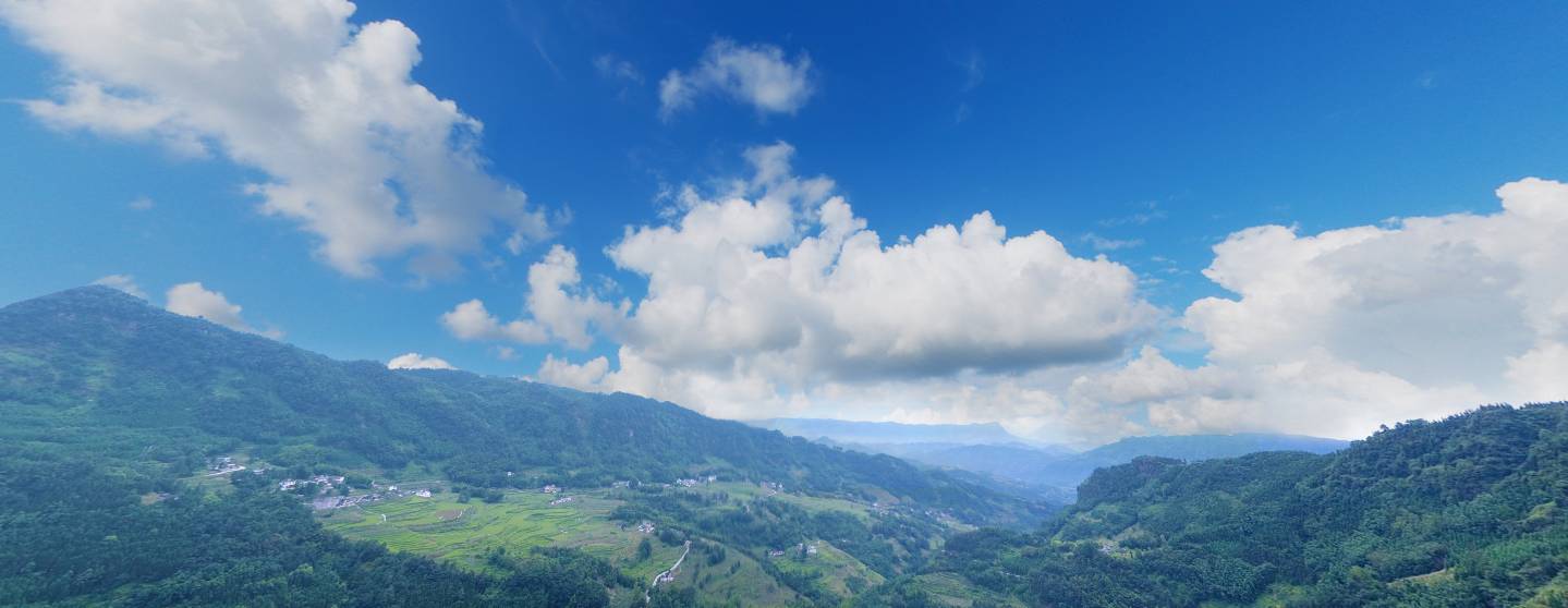 青山岩桫椤谷,仙峰苗王谷,麒麟海纳沟.这些兴文最美乡村你去过哪?