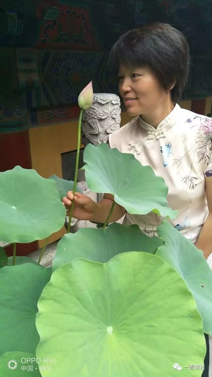 【一青人物】华夏一青古典诗词学院王瑶(燕无心)女士