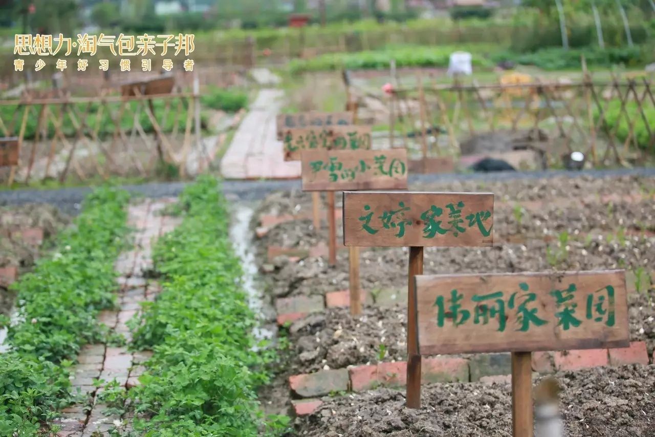 思想力童子军燕域田园教师节亲子特种兵体验活动圆满结束期待我们下