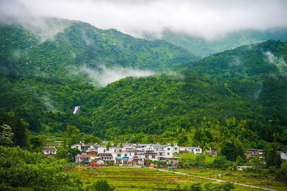 武平县被林业局列为集体林业综合试验示范