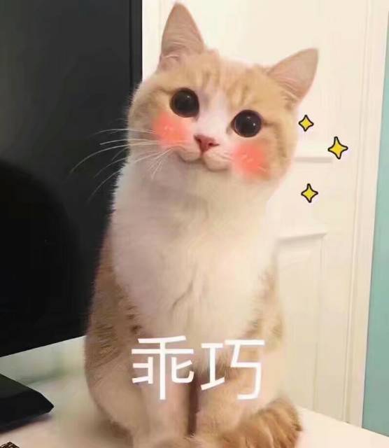 萌你一脸!可爱小猫咪表情包集锦