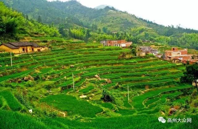 还记得一年前 2016茂名市十大美丽旅游乡村得主 高州市马贵镇下水尾村