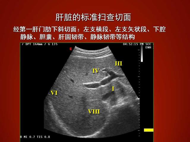 肝脏的分几叶?临床如何应用?