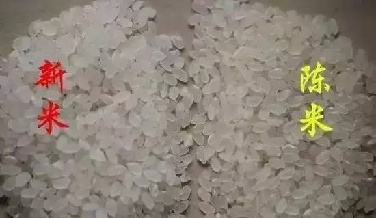 表面呈灰粉状或有白道沟纹的米是陈米,其量越多则说明大米越陈旧