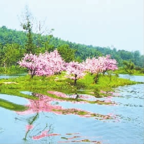 白鳞洲看桃源山. 陈新荣 筑梦时代领航奋进,浪潮奔涌砥柱中流.