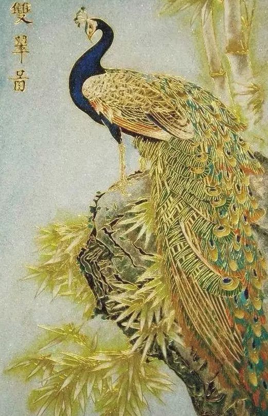 【葫芦丝】美丽的金孔雀