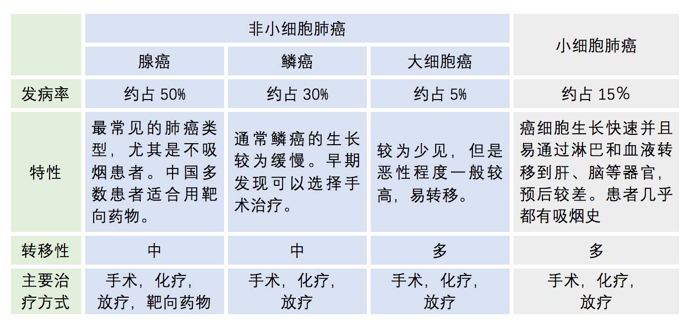 菠萝聊肺癌 第二期:肺癌到底是如何分类的?