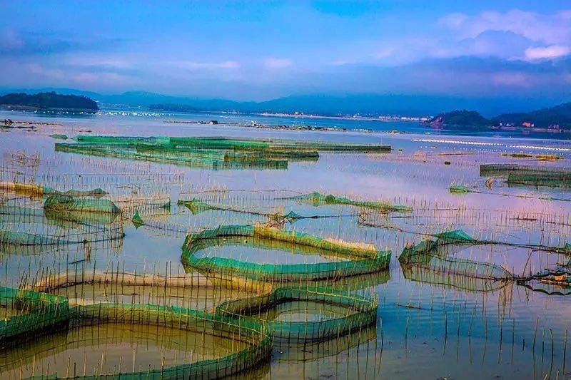 沿着绝美海岸南下,一站一顿海鲜大餐等你来