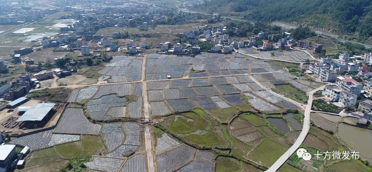 武平各乡镇人口_武平梁野山(3)