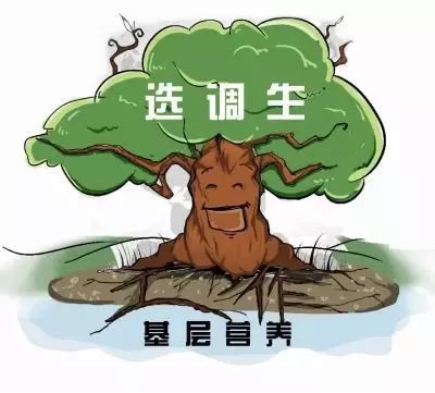 基层| 选调生介绍